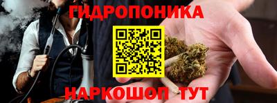 Альфа ПВП Братск