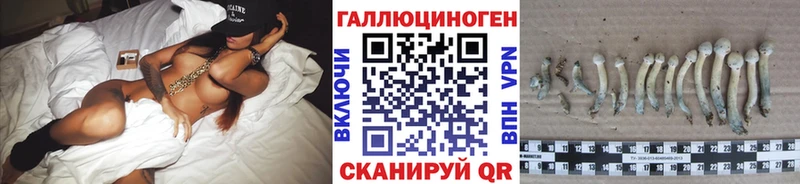 Галлюциногенные грибы Psilocybe  купить закладку  нарко площадка официальный сайт  Воткинск 